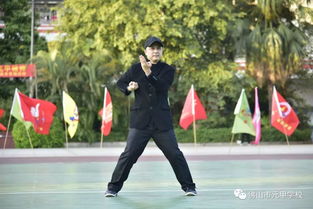 傳承中華武學 強健身體素質 弘揚元甲精神 佛山市元甲學校2019年霍元甲文化節歡樂周系列活動課程之 武林大會 活動報道