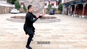 詠春拳 男子散打 兩強相遇詠者勝