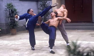 詠春拳在 中國功夫 排行老幾