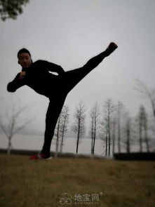 教授詠春拳與自由搏擊和健身塑形