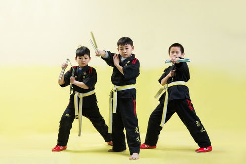 忠義武道詠春拳教育三人團(tuán)購(gòu)大實(shí)惠