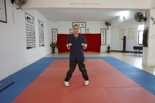 學詠春拳扎馬以動為主