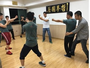 山東哲拳國藝詠春拳學怎么樣 hebnews.cn