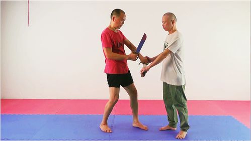 八零年代練武術9,東莞大叔學詠春拳八斬刀,抽刀斷水水更流