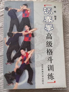 詠春拳高級格斗訓(xùn)練