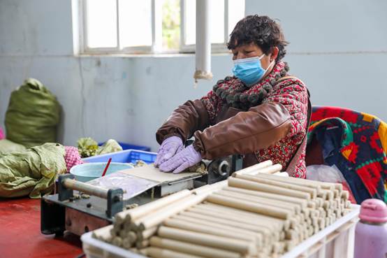 淮北 艾草 飄香 產(chǎn)業(yè) 興旺