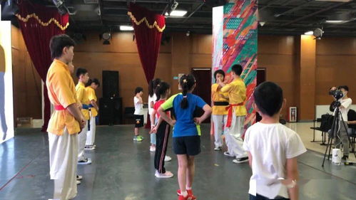 米機王詠春拳非遺公益講座