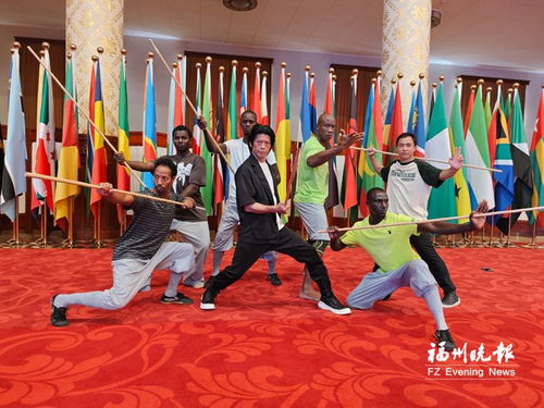 福州詠春拳亮相中非合作論壇峰會