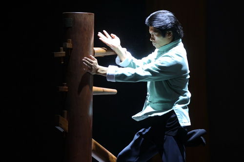 福建詠春拳 走向世界,活在當下