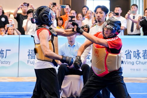 武林 爭霸,決勝詠春 首屆世界南少林詠春拳大賽決出36名項目冠軍