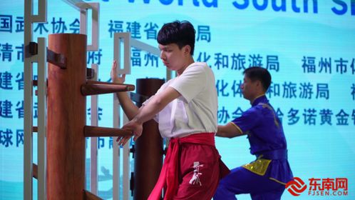 首屆世界南少林詠春拳大賽總決賽在福清圓滿舉行