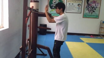 詠春拳木高清人樁 –