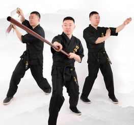 武漢詠春拳培訓學費 課程安排 武漢四海詠春拳館 培訓幫