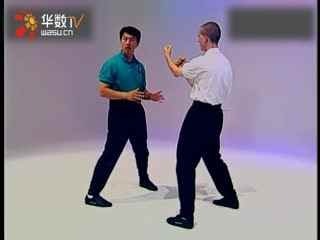 葉問宗師一脈詠春拳體系教學(xué)SiuNimTao_8--華數(shù)TV