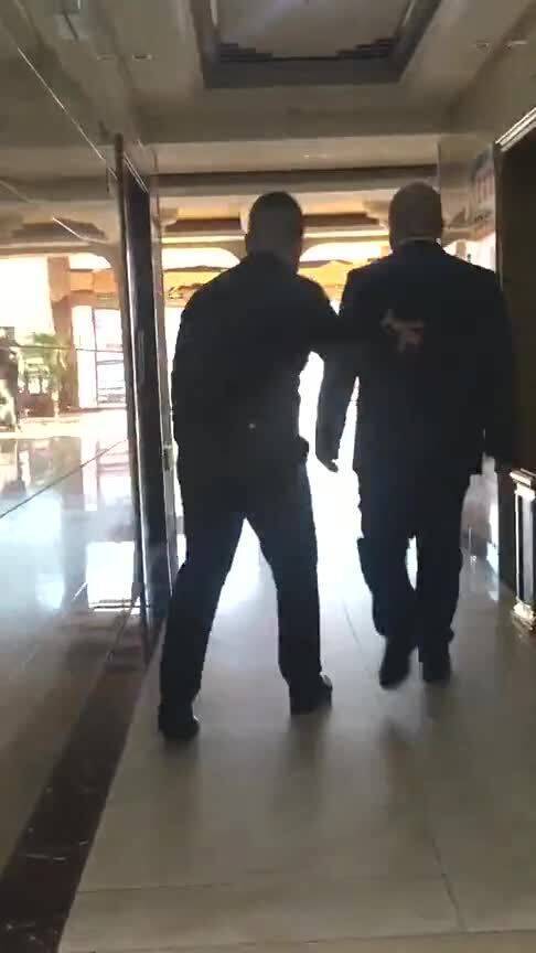 御用保鏢,精通15種武術,包括中國詠春拳 八極拳