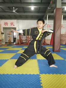 趙少堃 內(nèi)鄉(xiāng)中體詠春拳館 超級詠春之星 網(wǎng)絡(luò)評選