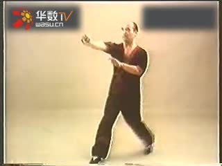 詠春拳梁挺1_4--華數TV