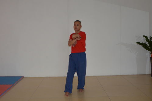 詠春拳向內(nèi)看東莞詠春拳梁康撰寫