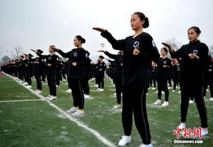 成都萬人齊打詠春拳獲吉尼斯世界紀(jì)錄