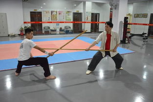 南棍的特點東莞梁康詠春拳館撰寫