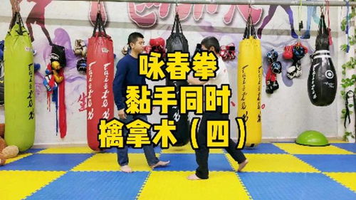 詠春拳黏手同時擒拿術 四