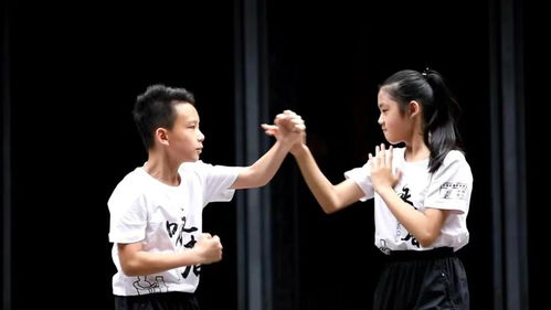 從未消逝的武林 第五批國家級非遺名錄公布,佛山詠春拳上榜