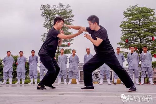 少林寺少年武僧到鶴山進行武術交流活動