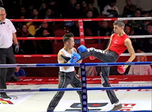 2018首屆wwc實戰(zhàn)詠春拳大賽在瓜瀝鳴鑼開賽