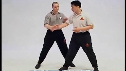 詠春拳