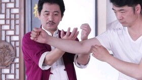 詠春拳口訣不借助位置發(fā)力