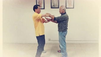 詠春拳師傅梁康的個人頻道