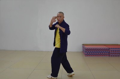 詠春拳多樣化態(tài)勢東莞詠春拳梁康撰寫