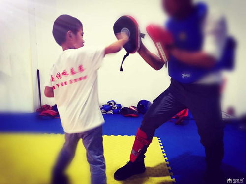 南昌青山湖區金域名都武術詠春拳段位考試 南昌武術