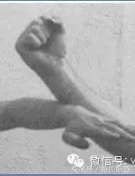 國術 詠春拳基本拳式 圖解教學