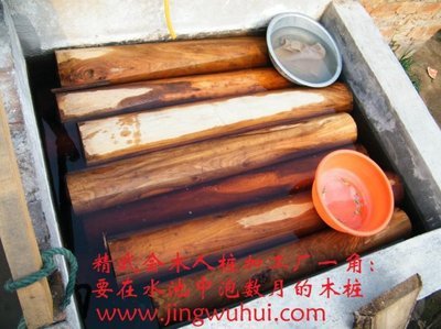 精武會牌鋼板落地式木人樁 (精品系列詠春拳木人樁) 廠家直銷-特級網