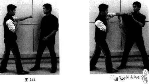 詠春拳實戰技法 耕手與膀手的訓練與運用